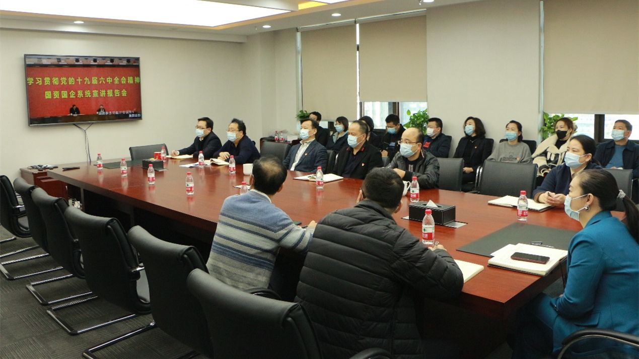 诚通国贸党委认真学习贯彻党的十九届六中全会精神